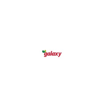 Εικόνα για τον κατασκευαστή GALAXY