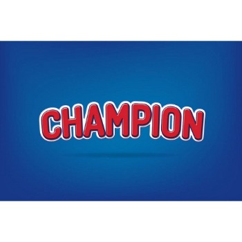 Εικόνα για τον κατασκευαστή CHAMPION