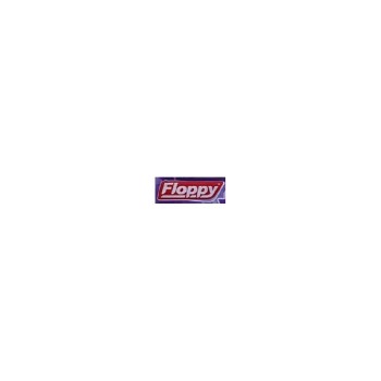 Εικόνα για τον κατασκευαστή Floppy