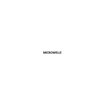 Εικόνα για τον κατασκευαστή MICROWELLE