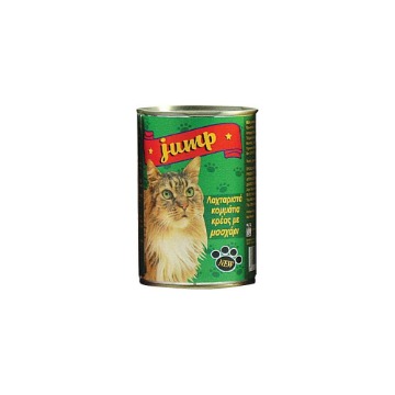 JUMP ΓΑΤΟΤΡΟΦΗ 400g - (ΜΟΣΧΑΡΙ)