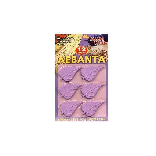 ΑΡΩΜΑΤΙΚΟ ΧΩΡΟΥ ΦΥΛΛΑΡΑΚΙ - (ΛΕΒΑΝΤΑ)