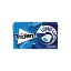 TRIDENT LONG LASTING PEPPERMINT (22g)