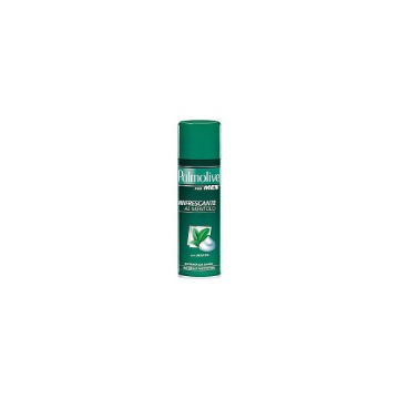 PALMOLIVE ΑΦΡΟΣ ΞΥΡΙΣΜΑΤΟΣ 300ml - (ΠΡΑΣΙΝΟ/ΜΕΝΤΑ)