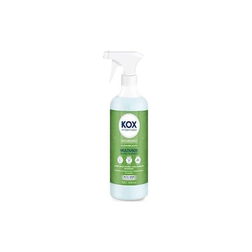 CISNE ΚΟΧ ΑΡΩΜΑΤΙΚΟ ΧΩΡΟΥ 1000ml - (ALOE VERA)