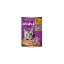 WHISKAS ΓΑΤΟΤΡΟΦΗ ΠΑΤΕ 400gr - (ΚΟΤΟΠΟΥΛΟ)