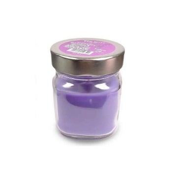 G & S Art Φυτικό Αρωματικό Κερί Φοίνικα Βιολέτα 212ml
