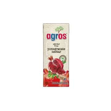 AGROS ΧΥΜΟΣ 250ml - (ΡΟΔΙ)