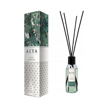 ΑΡΩΜΑΤΙΚΟ ΧΩΡΟΥ STICK ALYA EXOTIC LEAVES 100ml